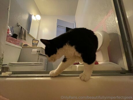 Beautifullyimperfectgeek star hot images