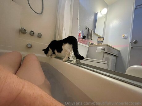 Beautifullyimperfectgeek star art img