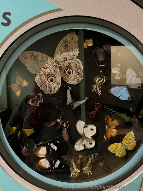 Tantilising Tushy best actress photos