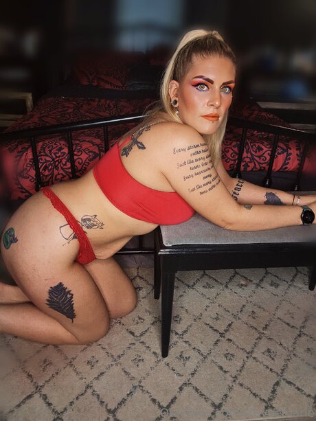 Steveemarie star hd archive