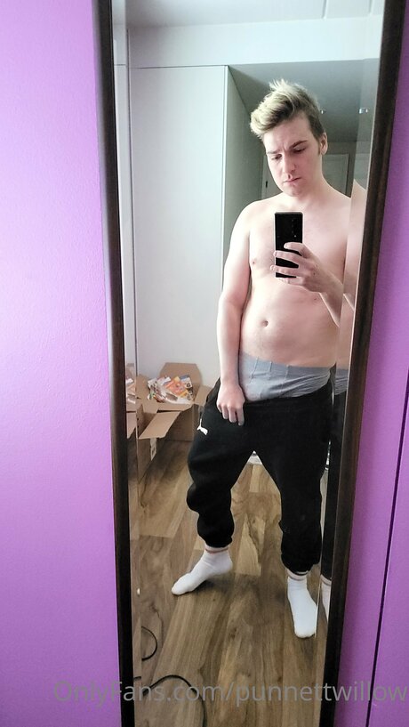 Punnettwillow hd model photos