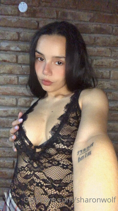 Sharonwolf nice star galleries