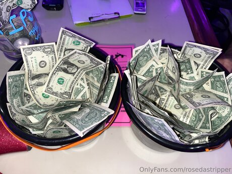 Rosedastripper top profile image