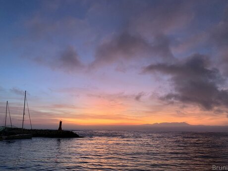 Brunabyers exclusive star gallery