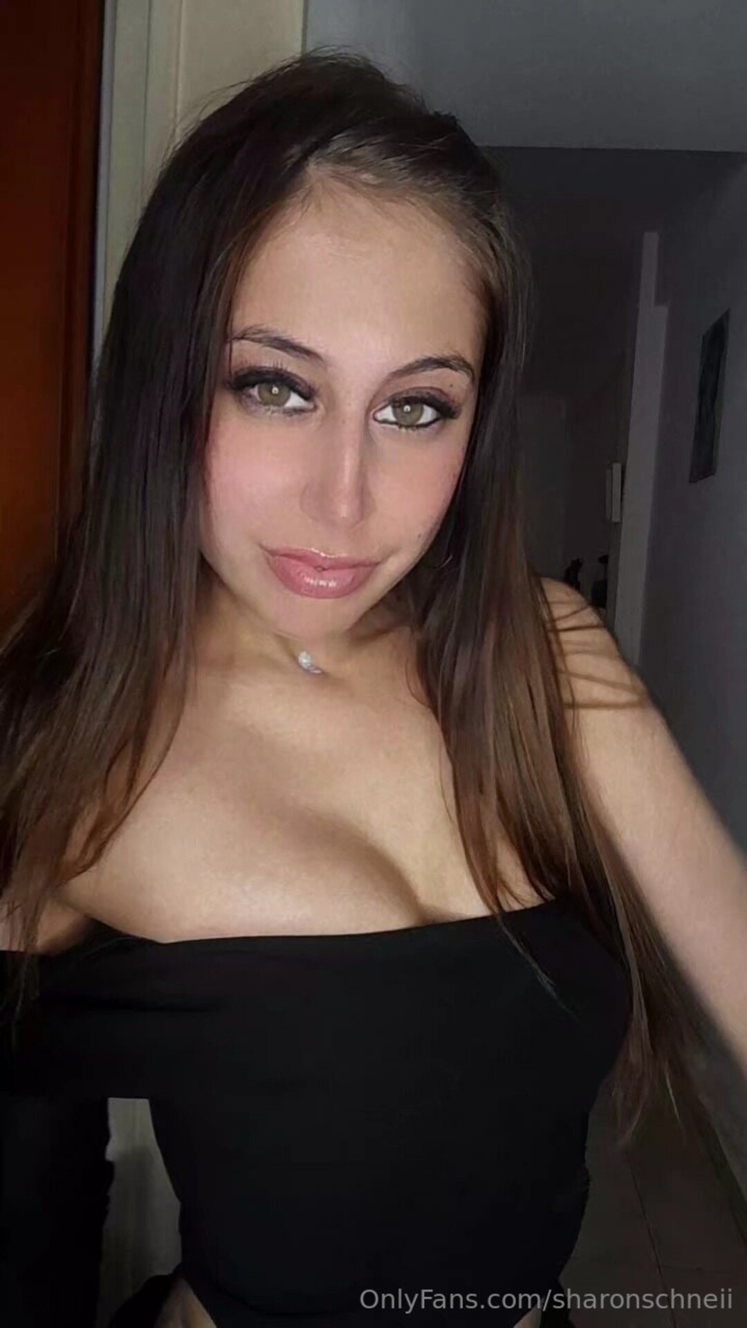 Sharonschneii nude pornstar pictures