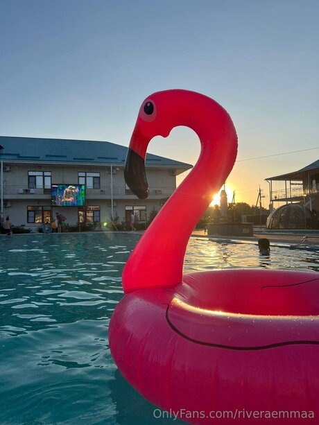 asian bbc onlyfans perfect pictures