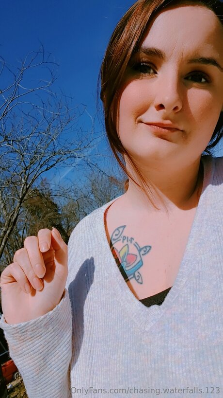 Chasing Waterfalls 123 model top img