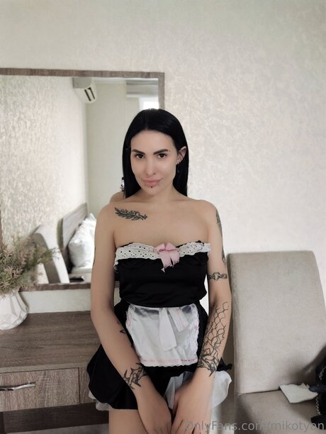 Mikotyan model nice image