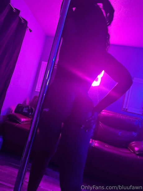 Squarebusiness art star photo