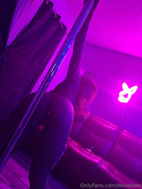 Squarebusiness star pretty archive