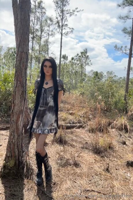 Maxinekitten high quality star pic