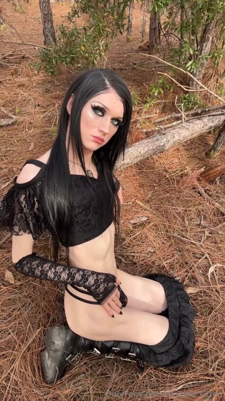 Maxinekitten star art archive