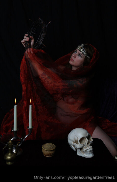 Lilyspleasuregardenfree1 star pretty picture