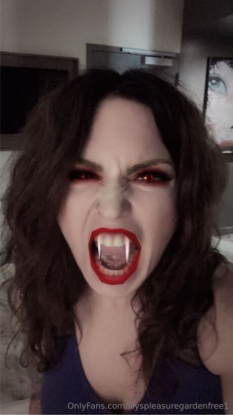 Lilyspleasuregardenfree1 pretty star photos