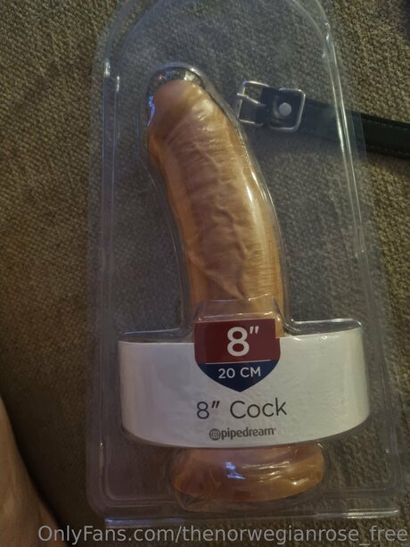 Thenorwegianrose Free model art photo