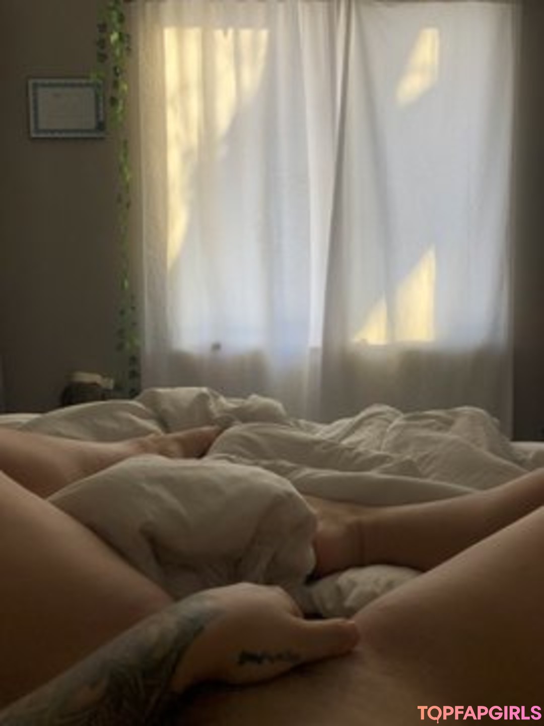 vieraralyn pornstar free pics