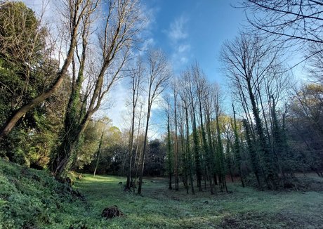 girlfriend onlyfans beautiful nude archive