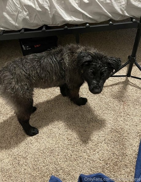 Summerreese nudes model photo