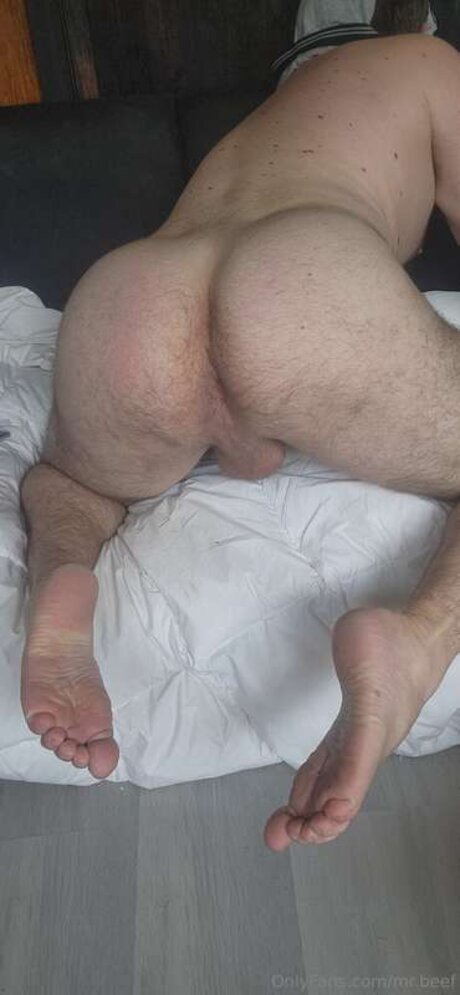 Mr Beef star art pictures