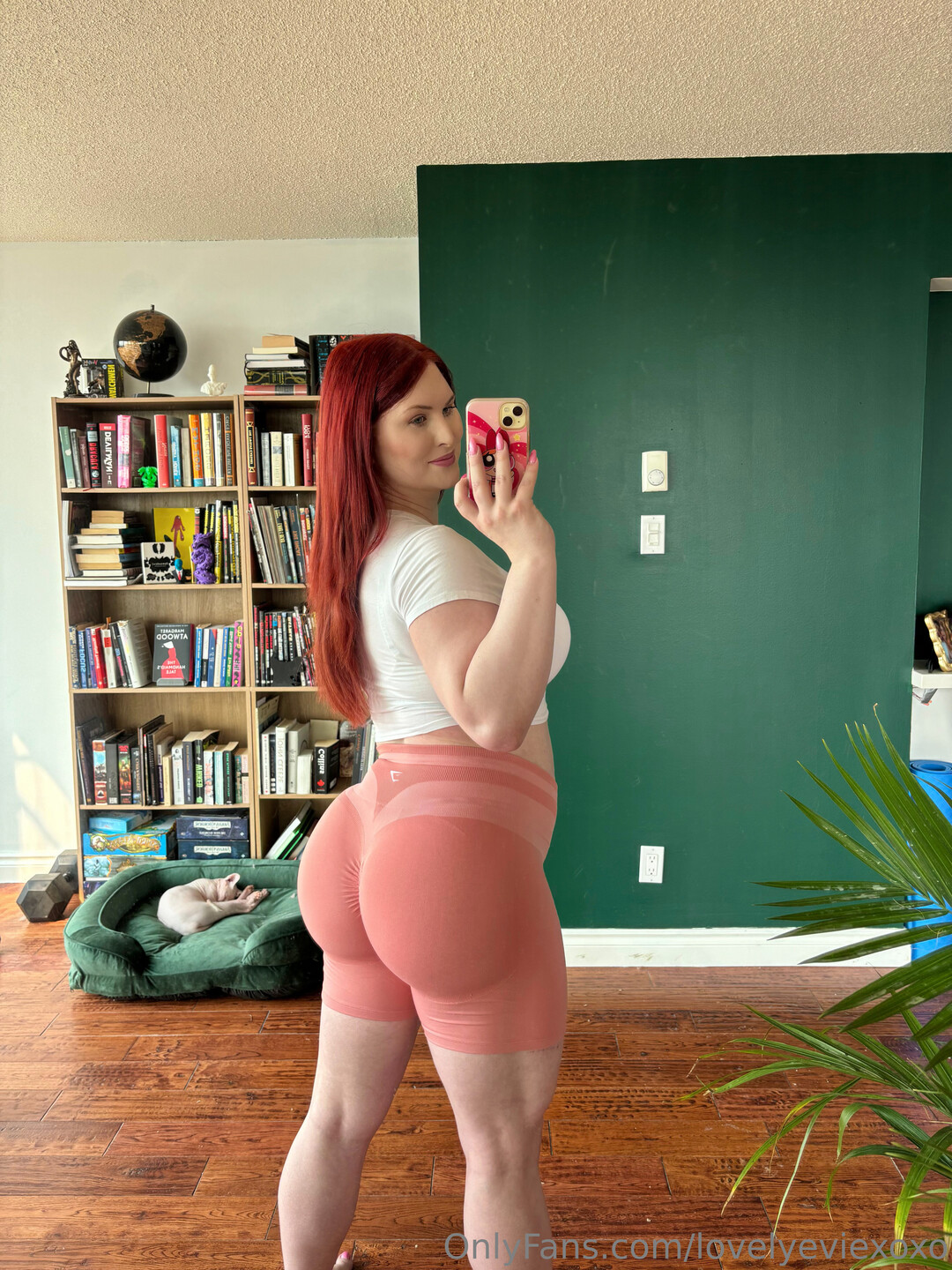 Lovelyeviexoxo pornstar beautiful picture