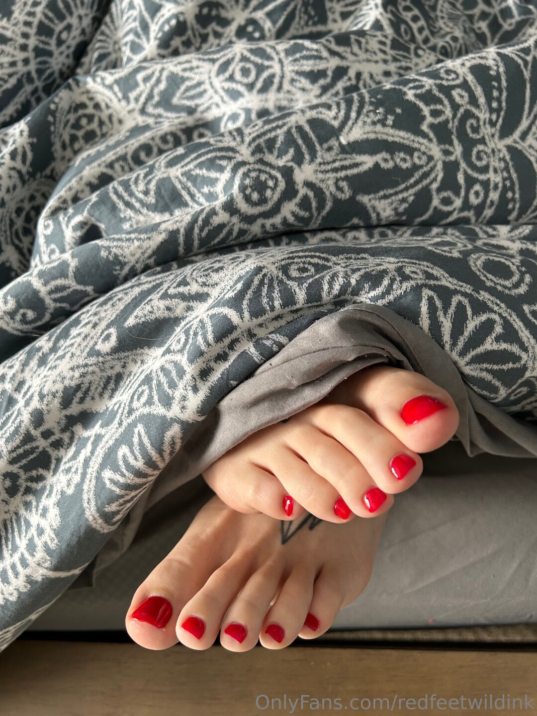 Redfeetwildink pornstar sexy archive
