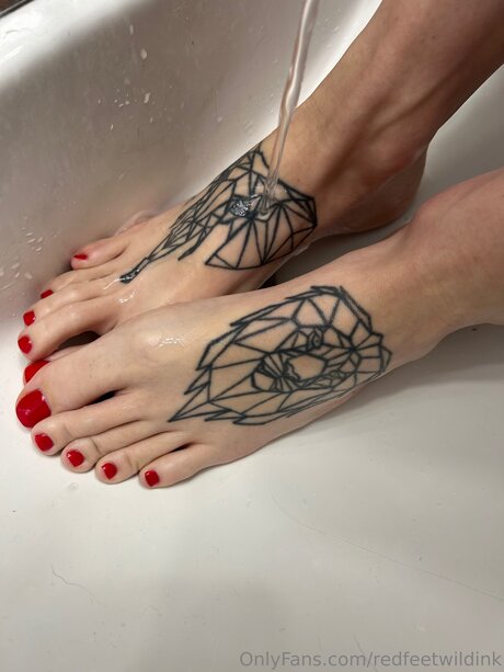 Redfeetwildink star hd photo