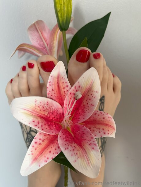 Redfeetwildink model adult pics