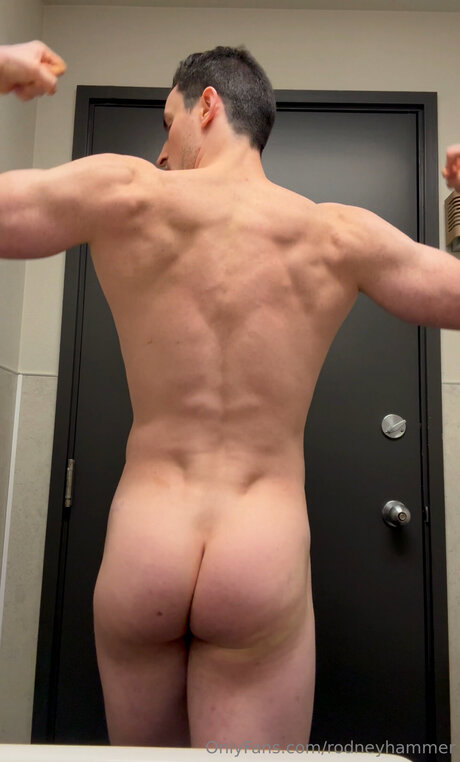 Rodneyhammer pornographic star images