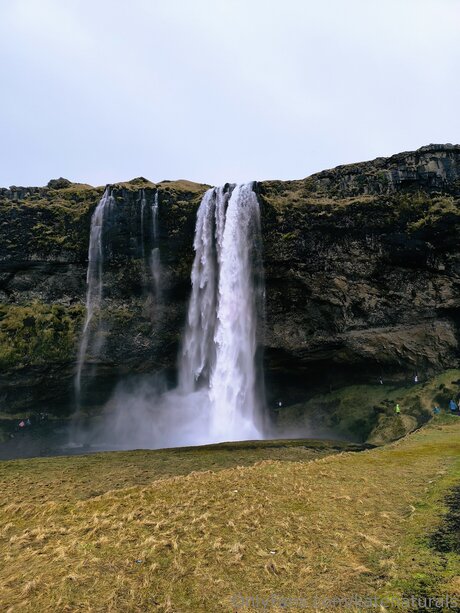 Katenaturals pornstar nice pictures