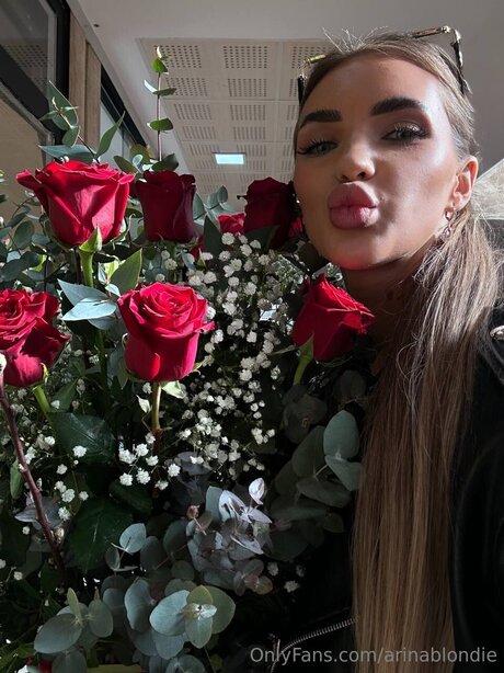 Arinablondie pornographic actress pics