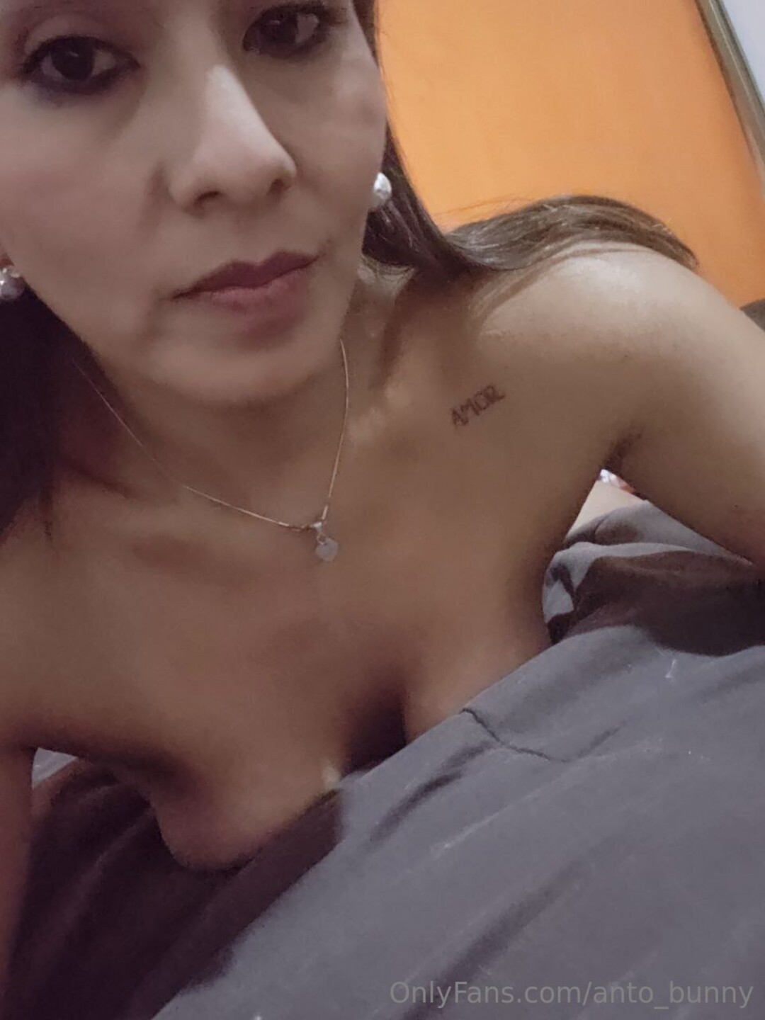 Anto Bunny star top gallery
