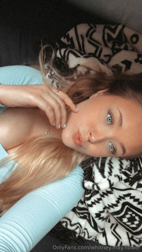 Whitney May Flower pornstar galleries