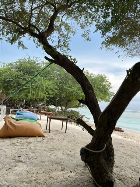 Emilylu nice model image