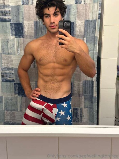 Beefwellingtonfree high quality pornstar archive