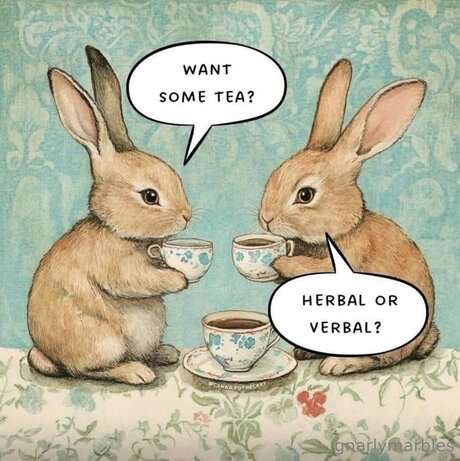 big ass thong onlyfans free porn image