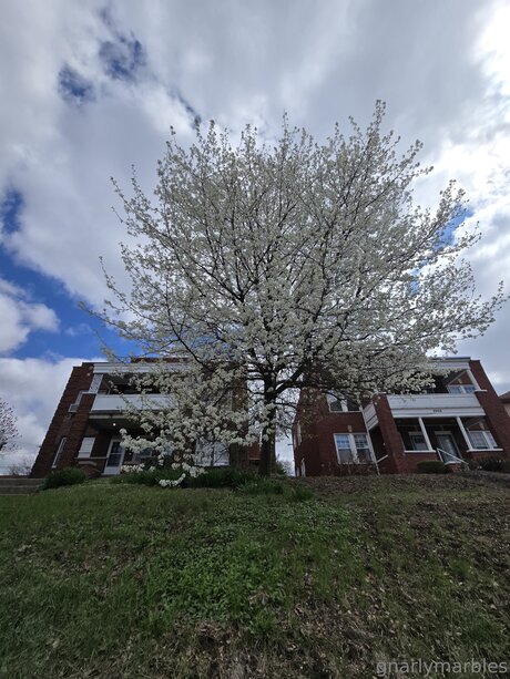 slim onlyfans free porn photos