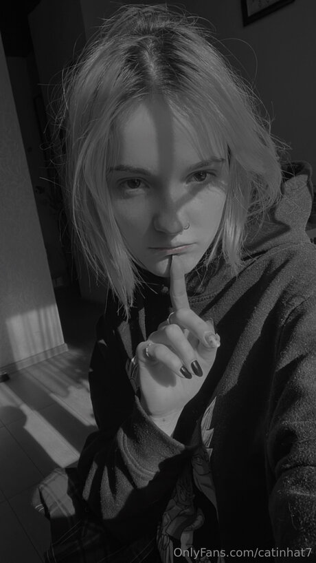 Catinhat7 star perfect images