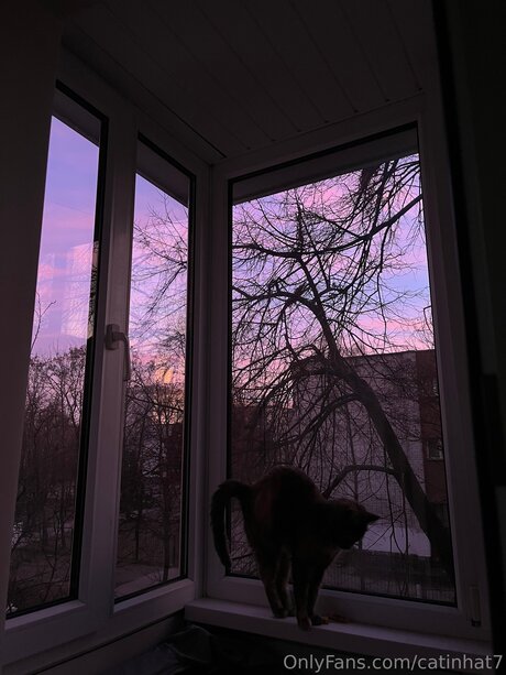 Catinhat7 xxx pornstar galleries