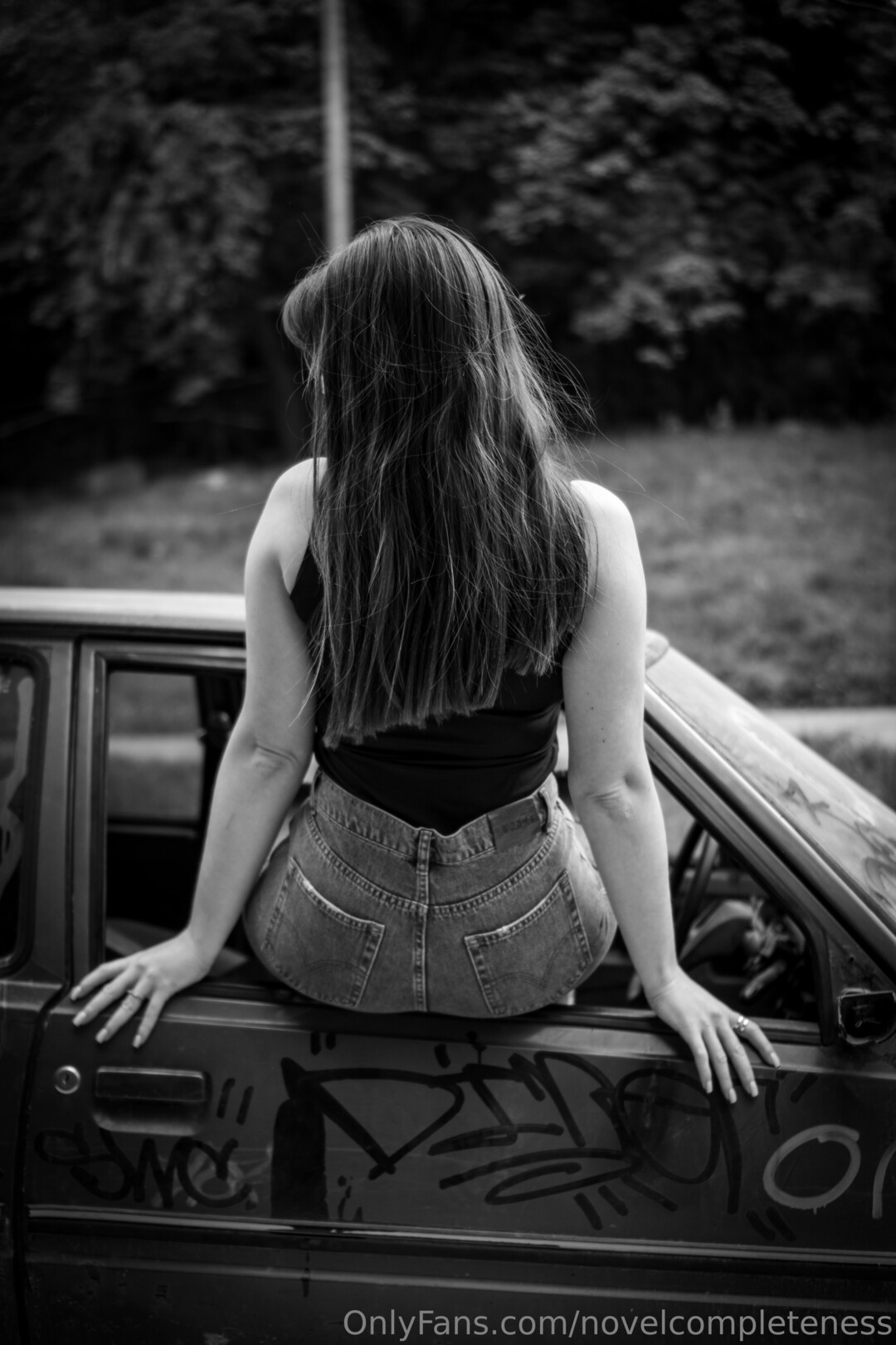 Novelcompleteness adult star image