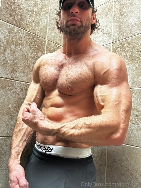 Domking pornstar nudes archive