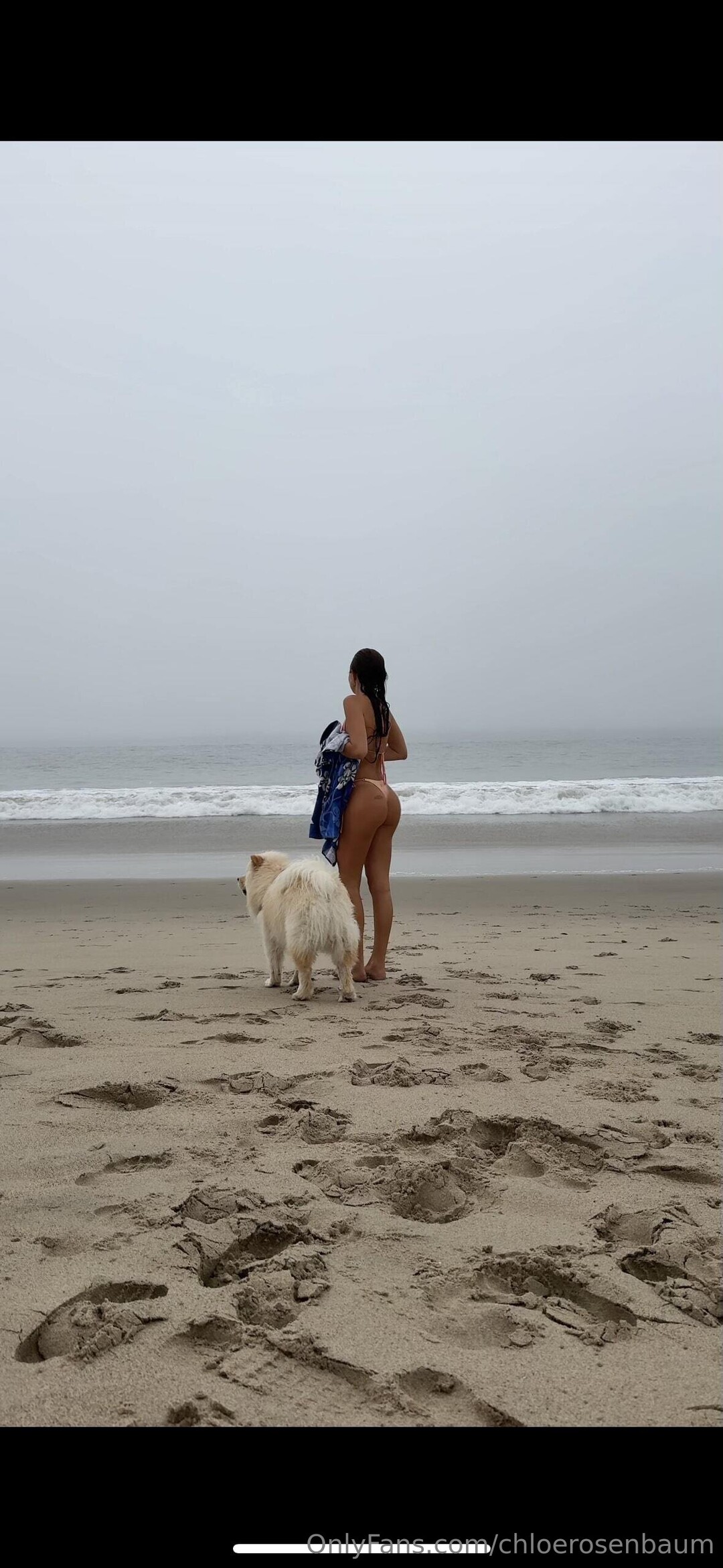 Chloerosenbaum star perfect pic