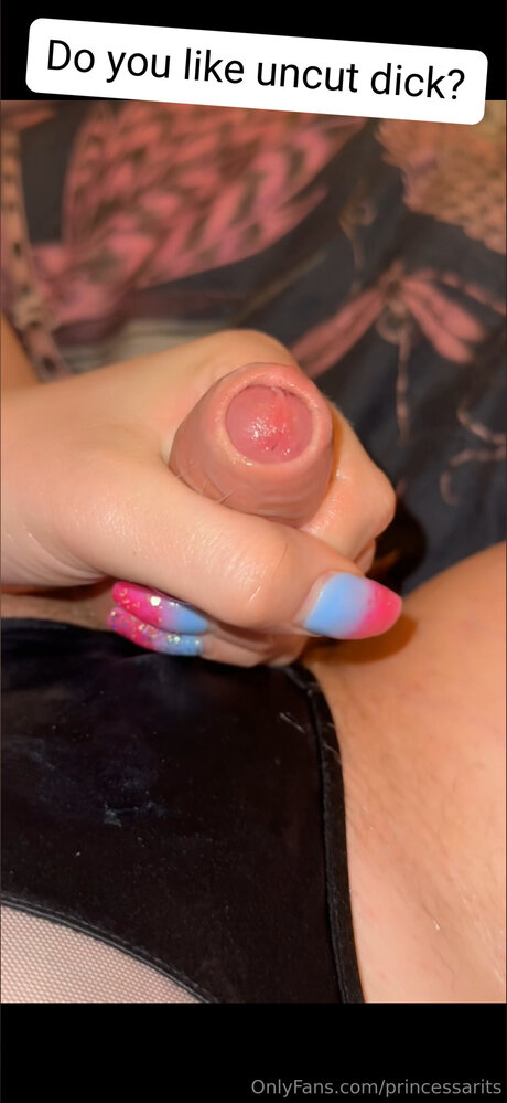 Princessarits star free gallery