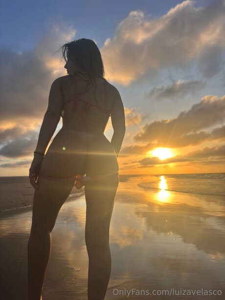 Luizavelasco star art galleries