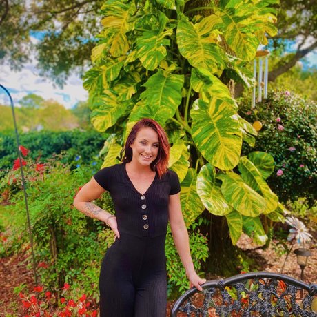 Molly Aria high quality star gallery