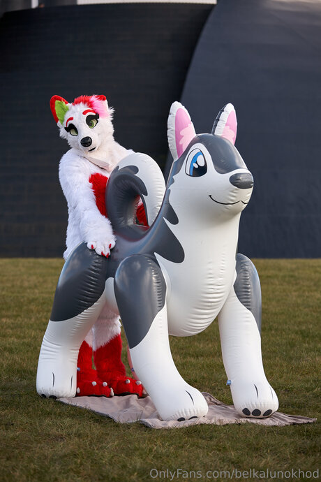 Belkalunokhod hd actress picture