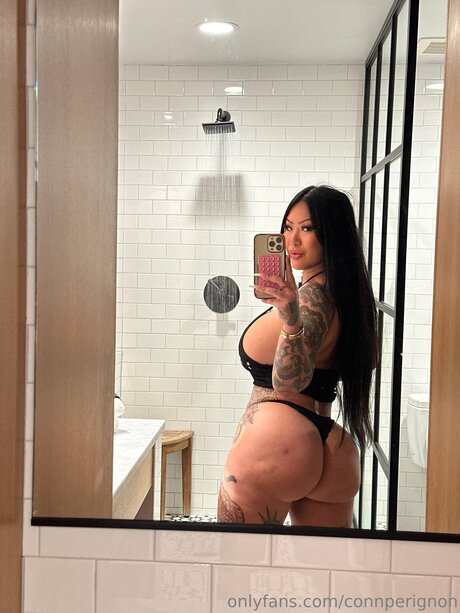 Connperignon hd model images