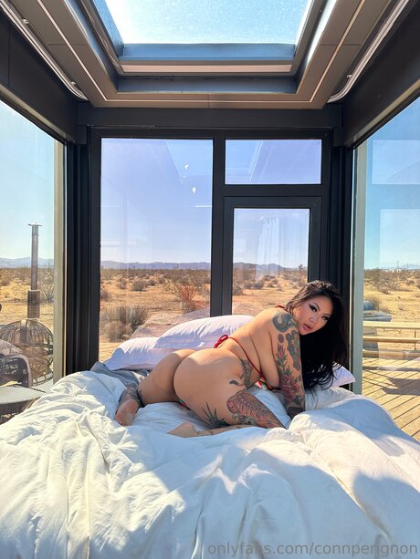 Connperignon pornstar nice galleries