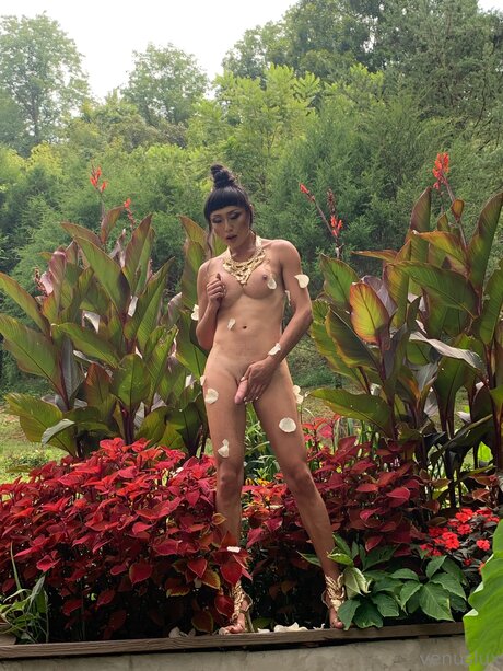 Venuslux naked star photos