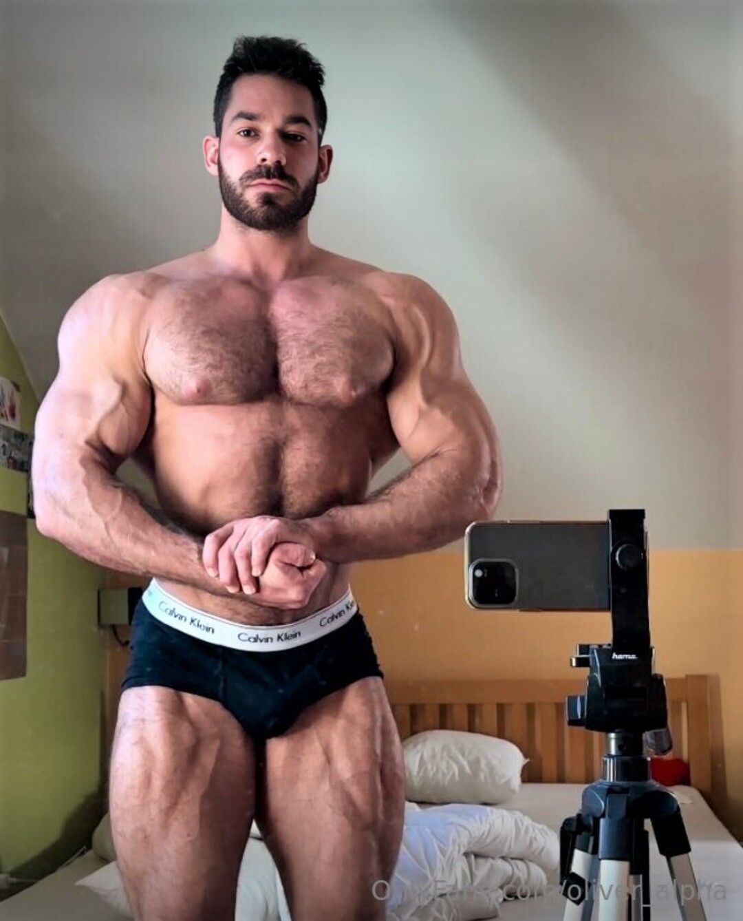 Oliver Alpha star adult photo