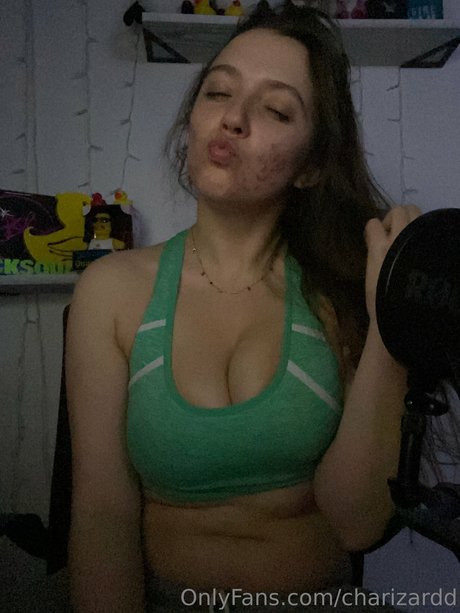 Charizard pornstar top image